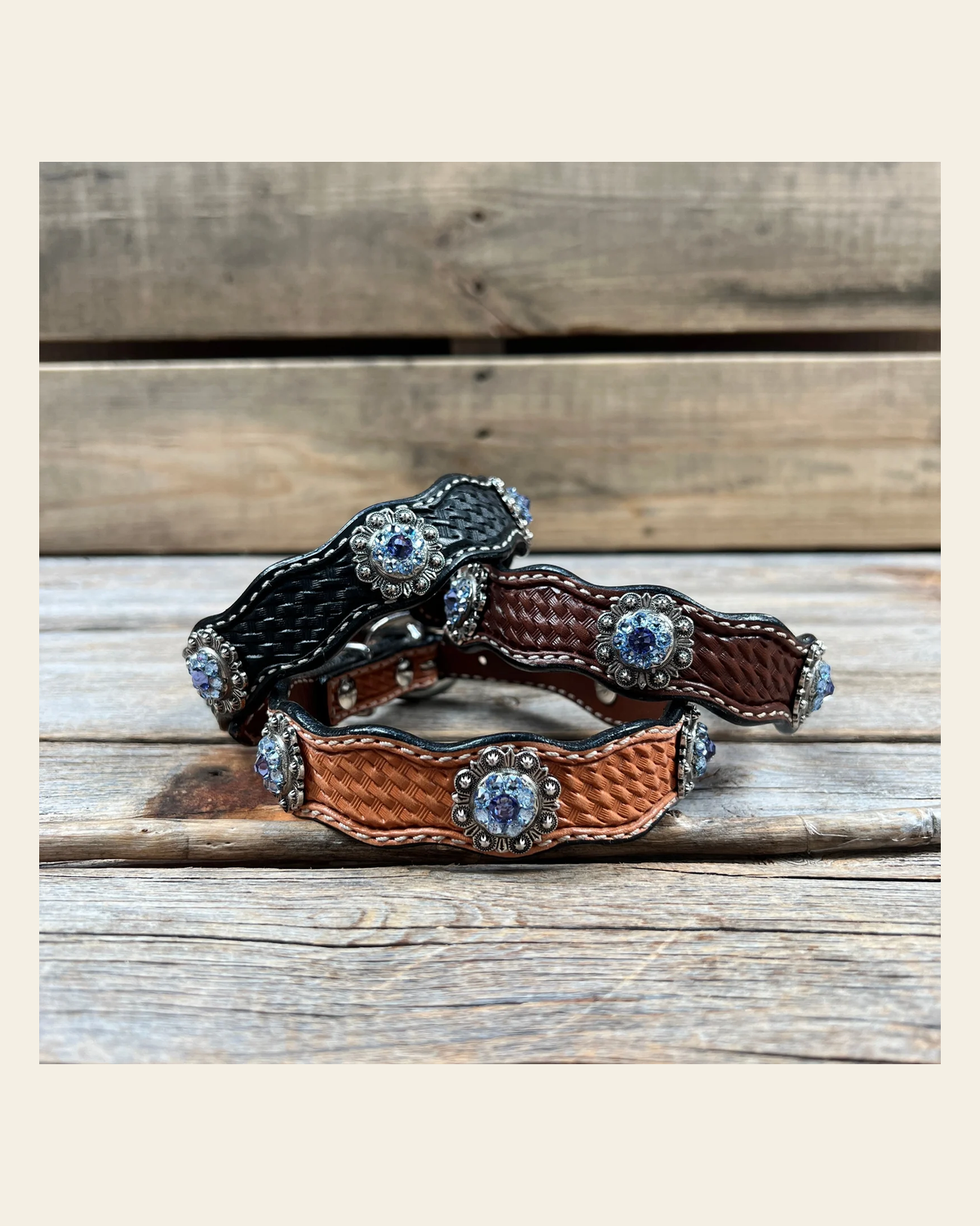 Genuine Leather Dog Collar With Antique Silver Lilac and Light Sapphire Conchos 10" to 22" -DC50 on a warm cream background