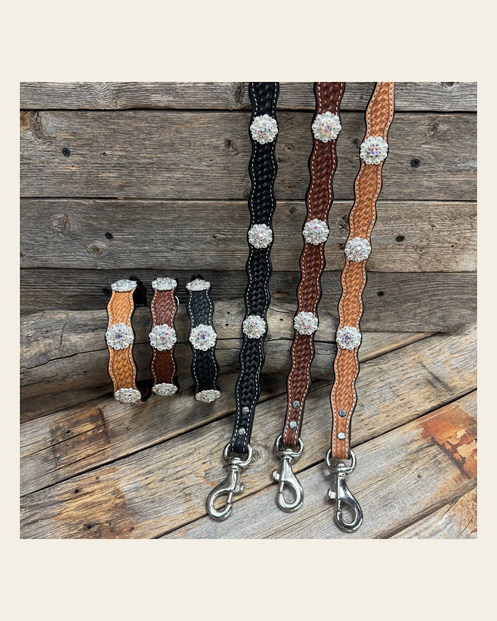 Genuine Leather Dog Collar or Leash With Bright Silver AB Conchos 10" to 22" orDC49 on a warm cream background