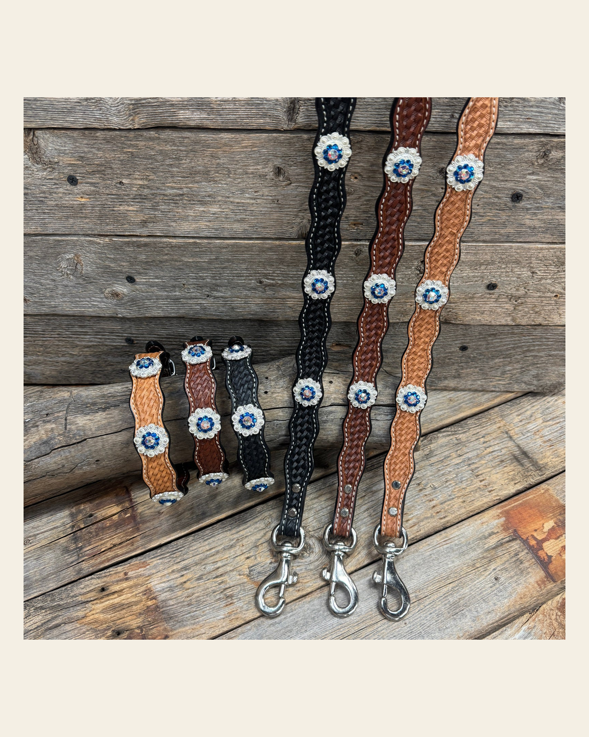 Genuine Leather Dog Collar or Leash With Bright Silver Capri and AB Conchos 10" to 22" orDC48 on a warm cream background