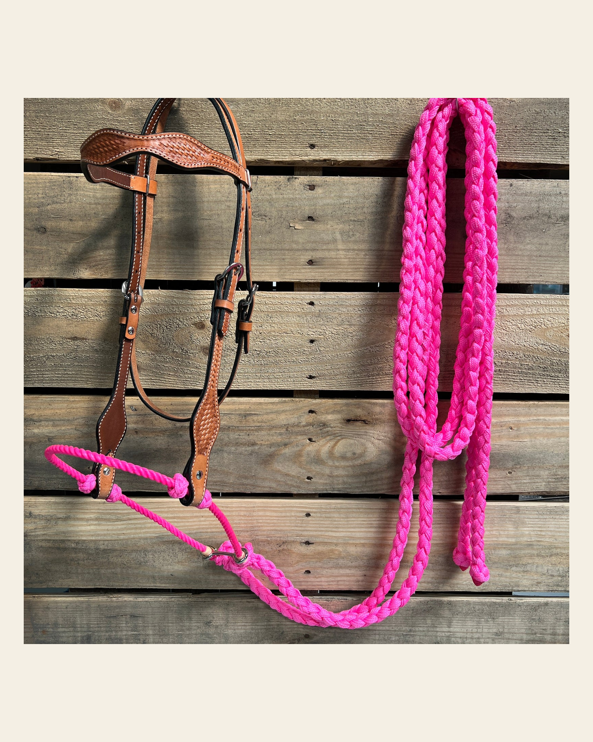 Light Oil Basketweave Neon Pink Loping Hackamore #LHK011 on a warm cream background