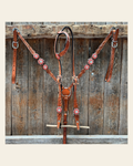 Light Oil Floral Coral, Clear One Ear & Breastcollar Tack Set #OEBC675 on a warm cream background