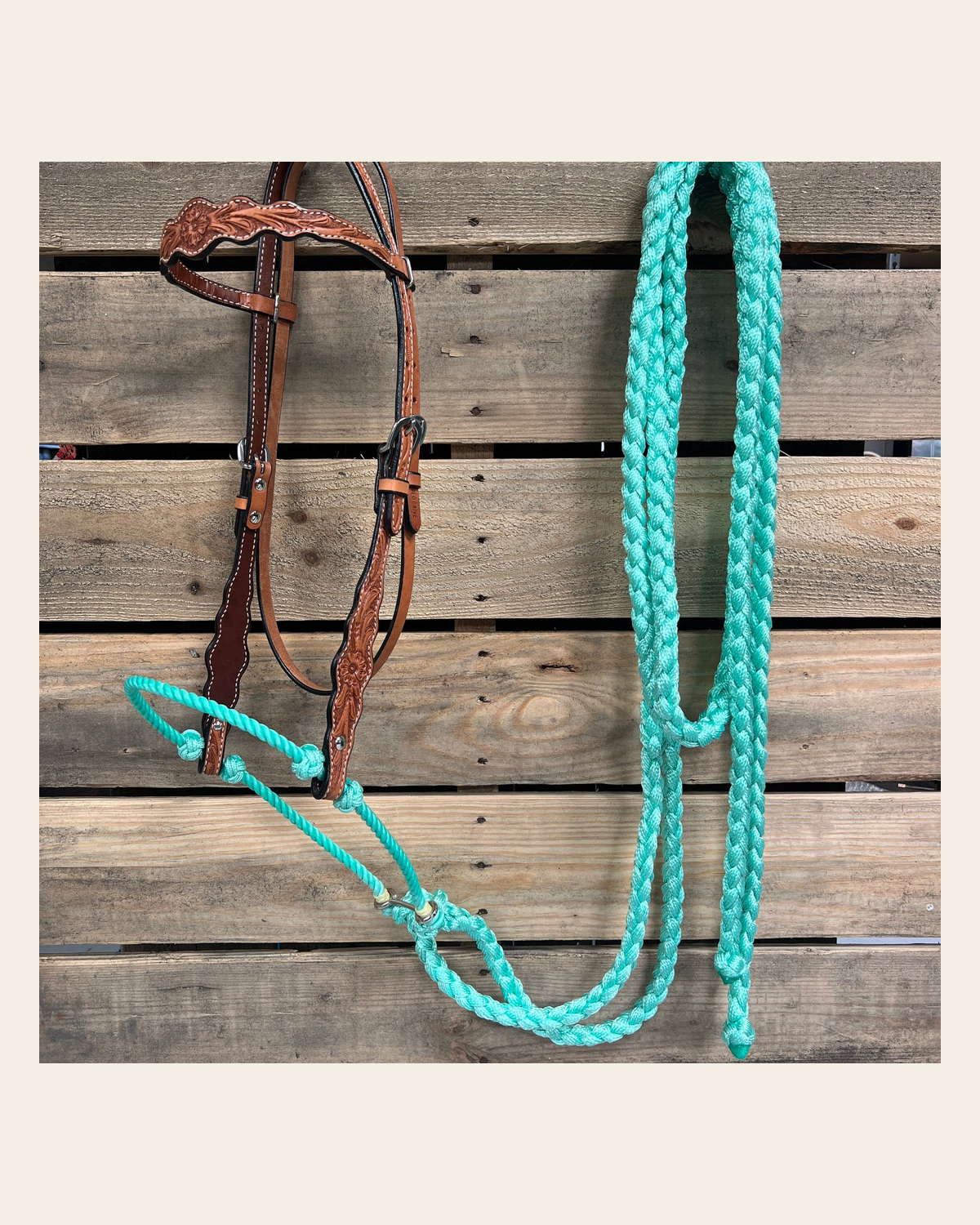Light Oil Floral Scalloped Turquoise Loping Hackamore #LHK024 on a warm cream background