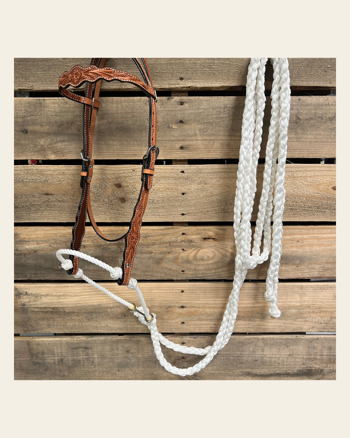 Light Oil Floral Scalloped White Loping Hackamore #LHK023 on a warm cream background