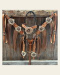 Light Oil Floral Tooled Ruby and Champagne Browband & Breastcollar Tack Set #BBBC461 on a warm cream background