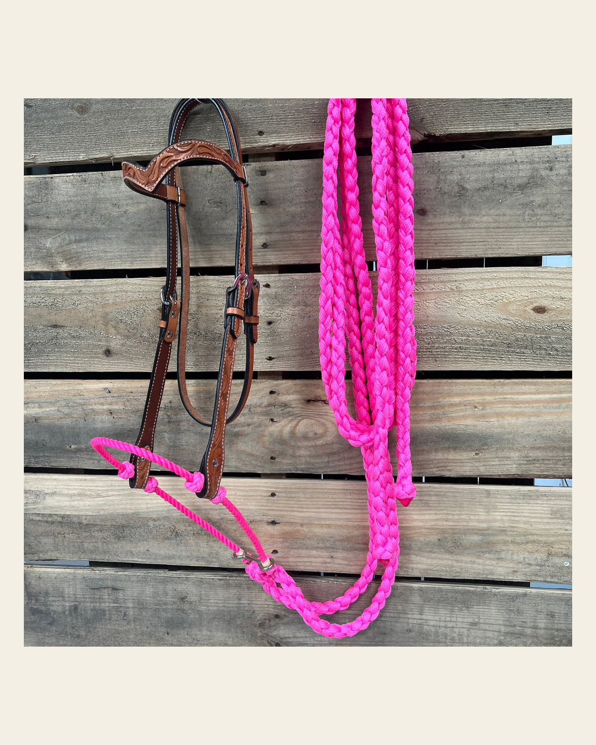 Light Oil Floral V-Brow Neon Pink Loping Hackamore #LHK037 on a warm cream background