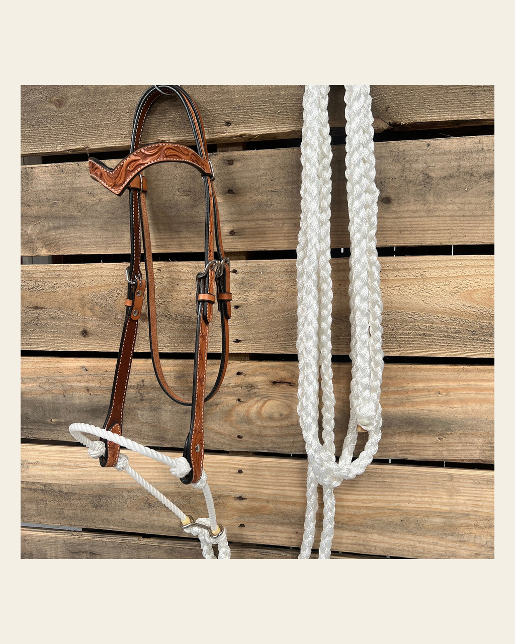 Light Oil Floral V-Brow White Loping Hackamore #LHK035 on a warm cream background