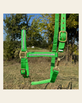 Lime Bling Nylon Horse Halter BNHNGN on a warm cream background