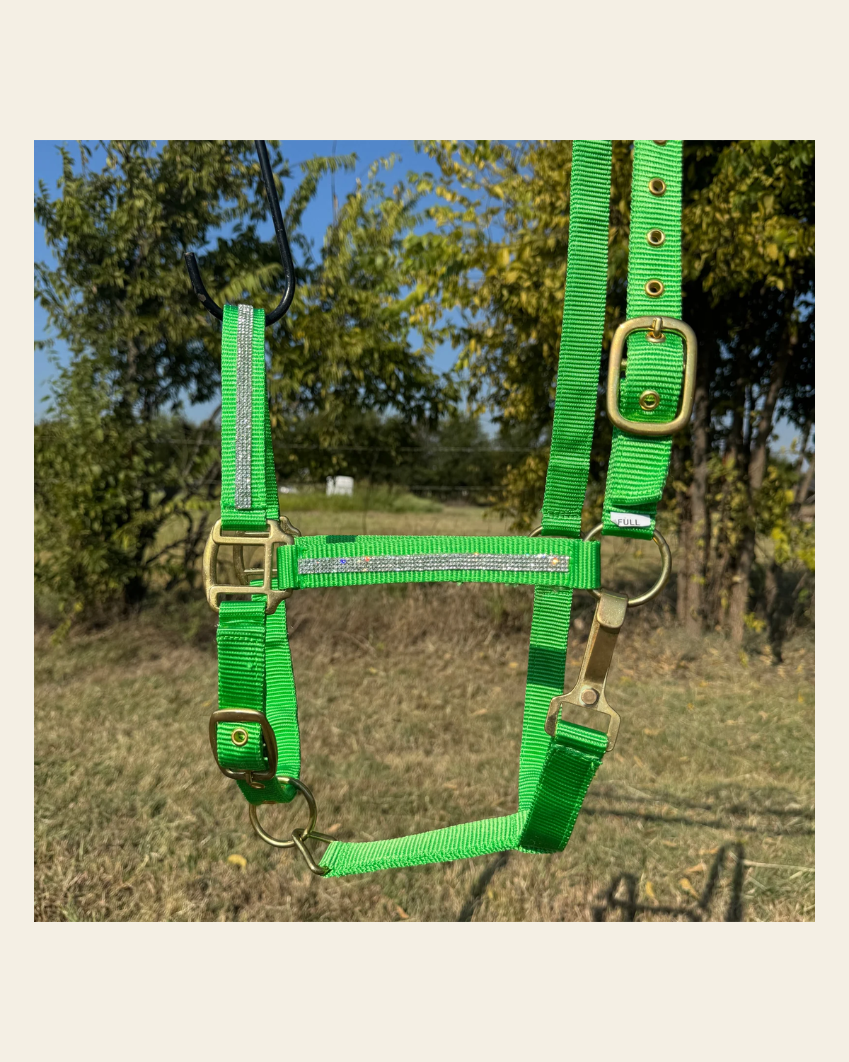 Lime Bling Nylon Horse Halter BNHNGN on a warm cream background