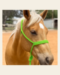 Lime Mule Tape Halter on a warm cream background
