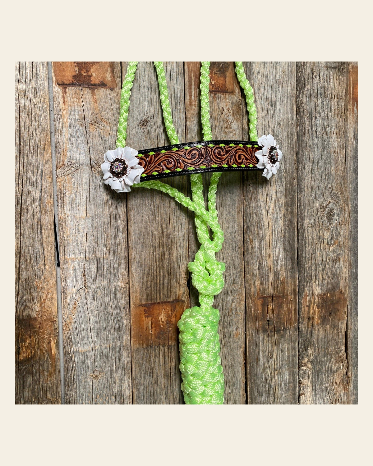 Lime Mule Tape Halter - White Flower #MT208 on a warm cream background