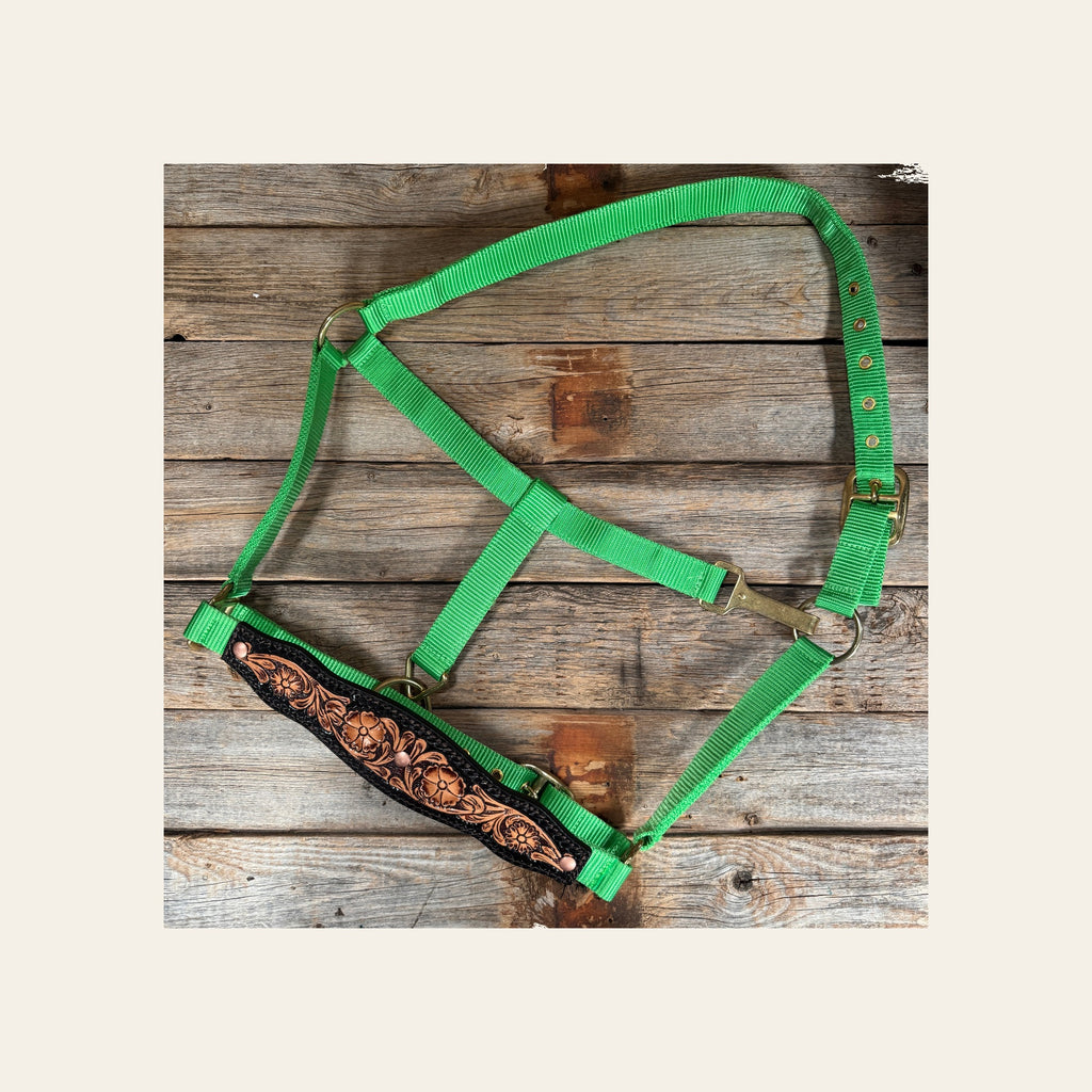 Lime Nylon Halter with Floral Leather Noseband #NH120