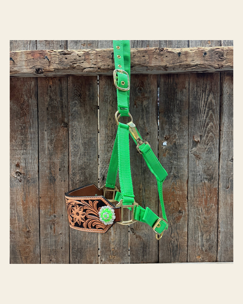 Lime Nylon Horse Halter – Bronc Noseband with Crystal Conchos NH102 on a warm cream background
