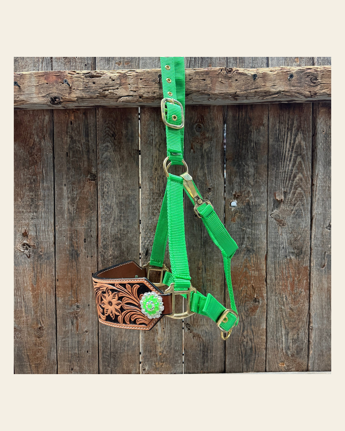 Lime Nylon Horse Halter – Bronc Noseband with Crystal Conchos NH102 on a warm cream background
