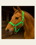 Lime Nylon Horse Halter NHNGN on a warm cream background