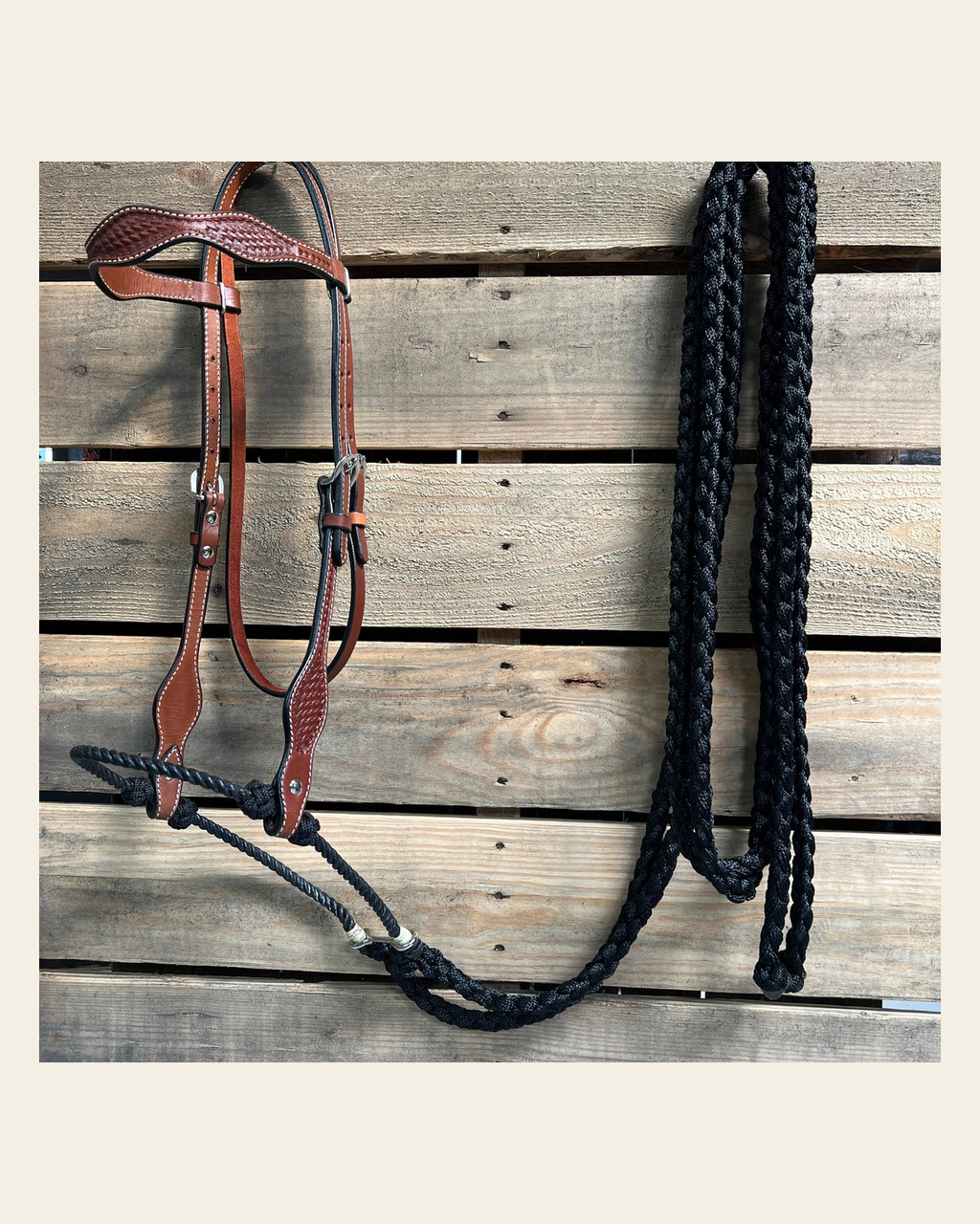 Medium Oil Basketweave Black Loping Hackamore #LHK009 on a warm cream background