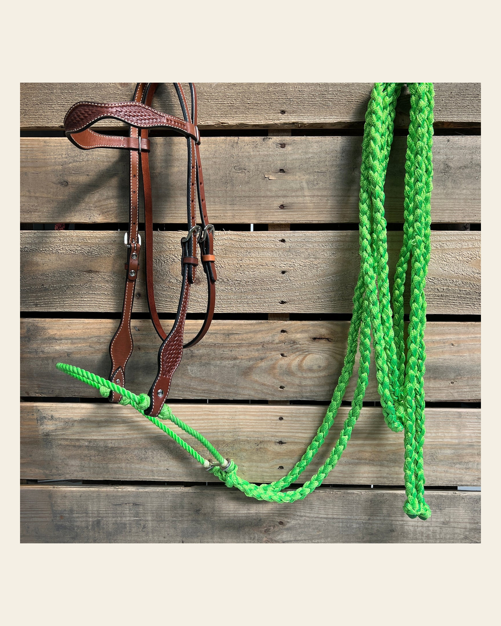 Medium Oil Basketweave Lime Loping Hackamore #LHK010 on a warm cream background