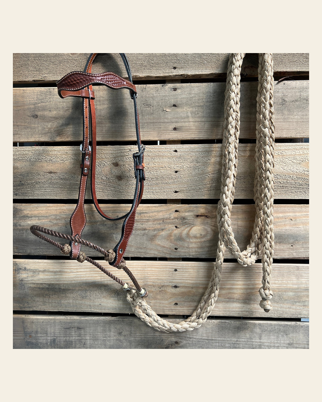 Medium Oil Basketweave Tan Loping Hackamore #LHK008 on a warm cream background