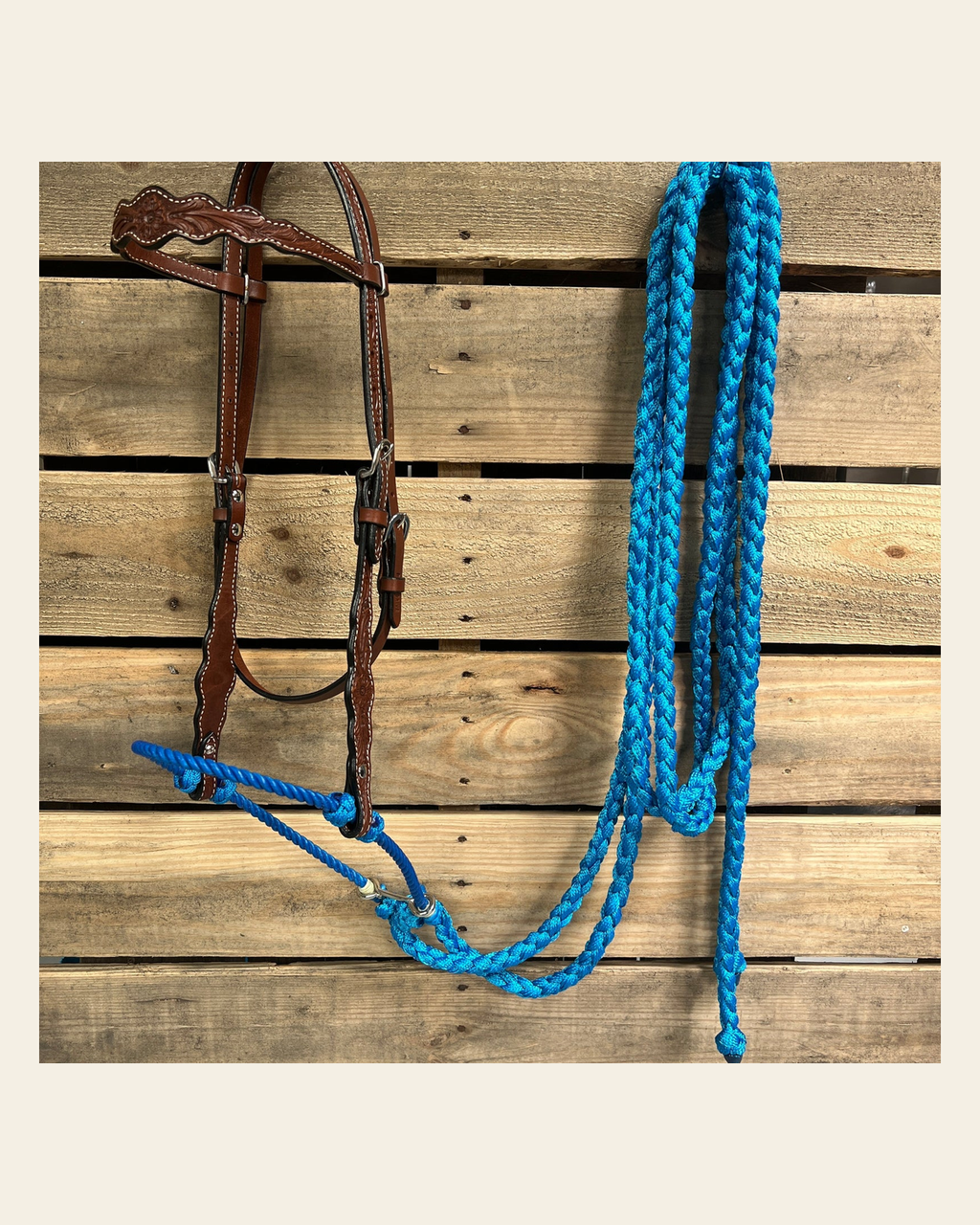 Medium Oil Floral Scalloped Blue Loping Hackamore #LHK021 on a warm cream background