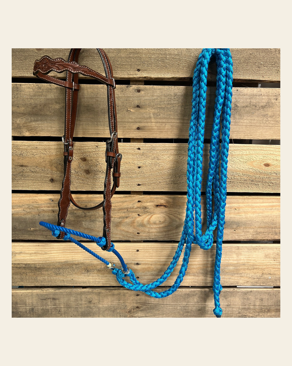Medium Oil Floral Scalloped Blue Loping Hackamore #LHK021 on a warm cream background