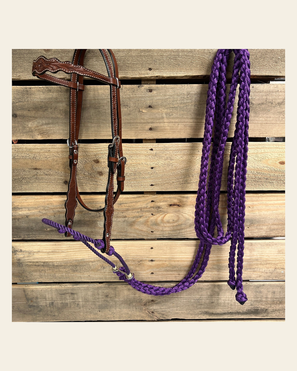 Medium Oil Floral Scalloped Purple Loping Hackamore #LHK022 on a warm cream background