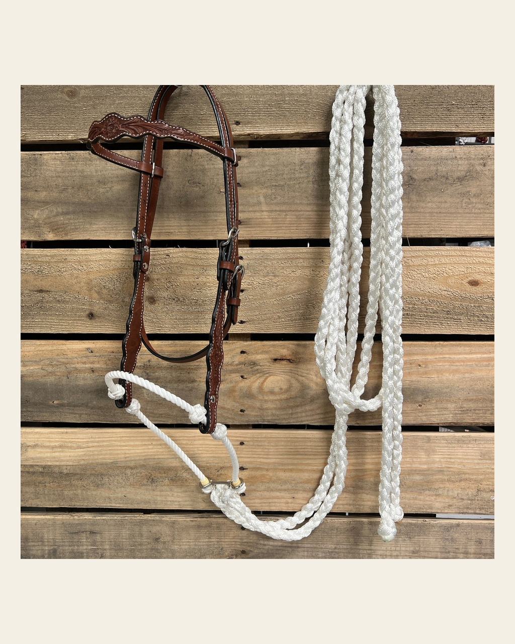 Medium Oil Floral Scalloped White Loping Hackamore #LHK020 on a warm cream background