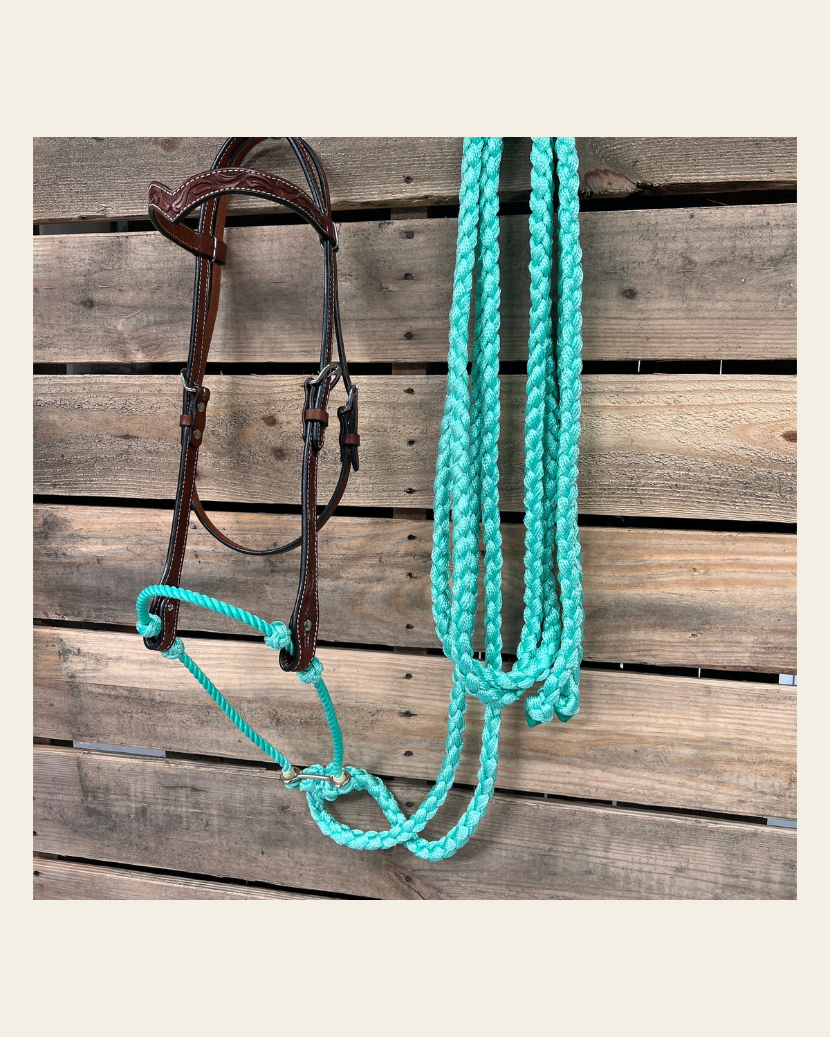 Medium Oil Floral V-Brow Turquoise Loping Hackamore #LHK034 on a warm cream background