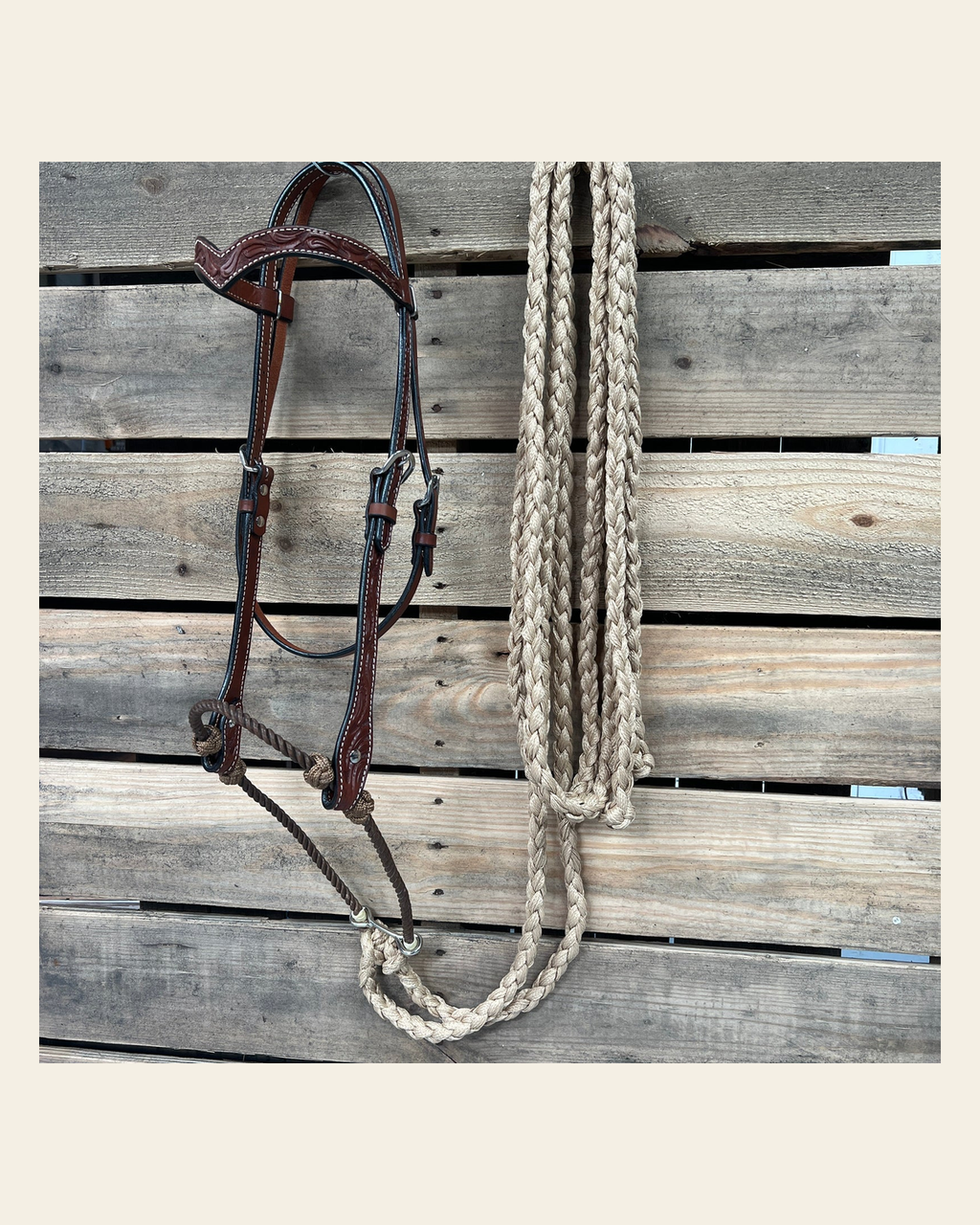 Medium Oil Floral V-Brow Tan Loping Hackamore #LHK033 on a warm cream background