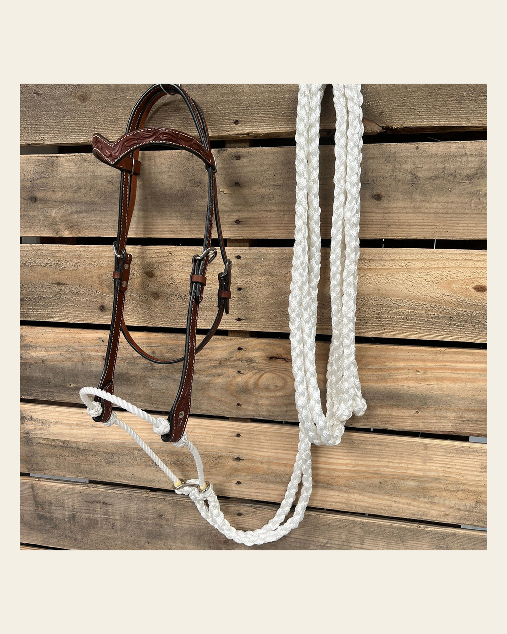 Medium Oil Floral V-Brow White Loping Hackamore #LHK032 on a warm cream background