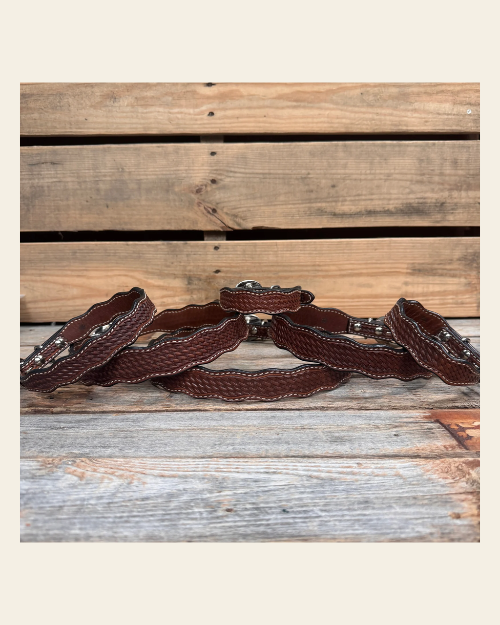 Medium Oil Genuine Leather Dog Collars Sizes 10"-28" on a warm cream background