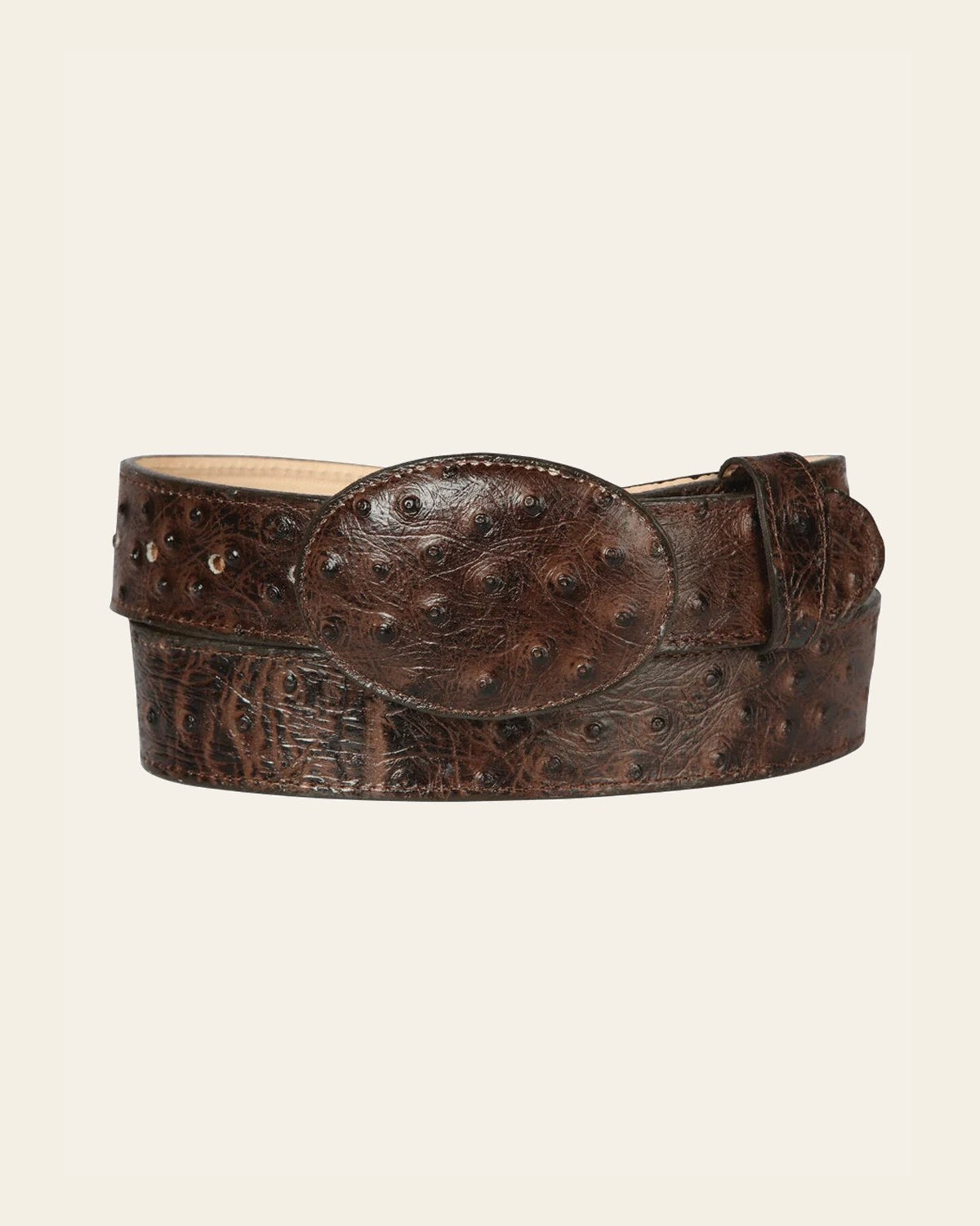 Men's Leather Cowboy Western Belt - Imitation Ostrich Brown Style #45261 on a warm cream background