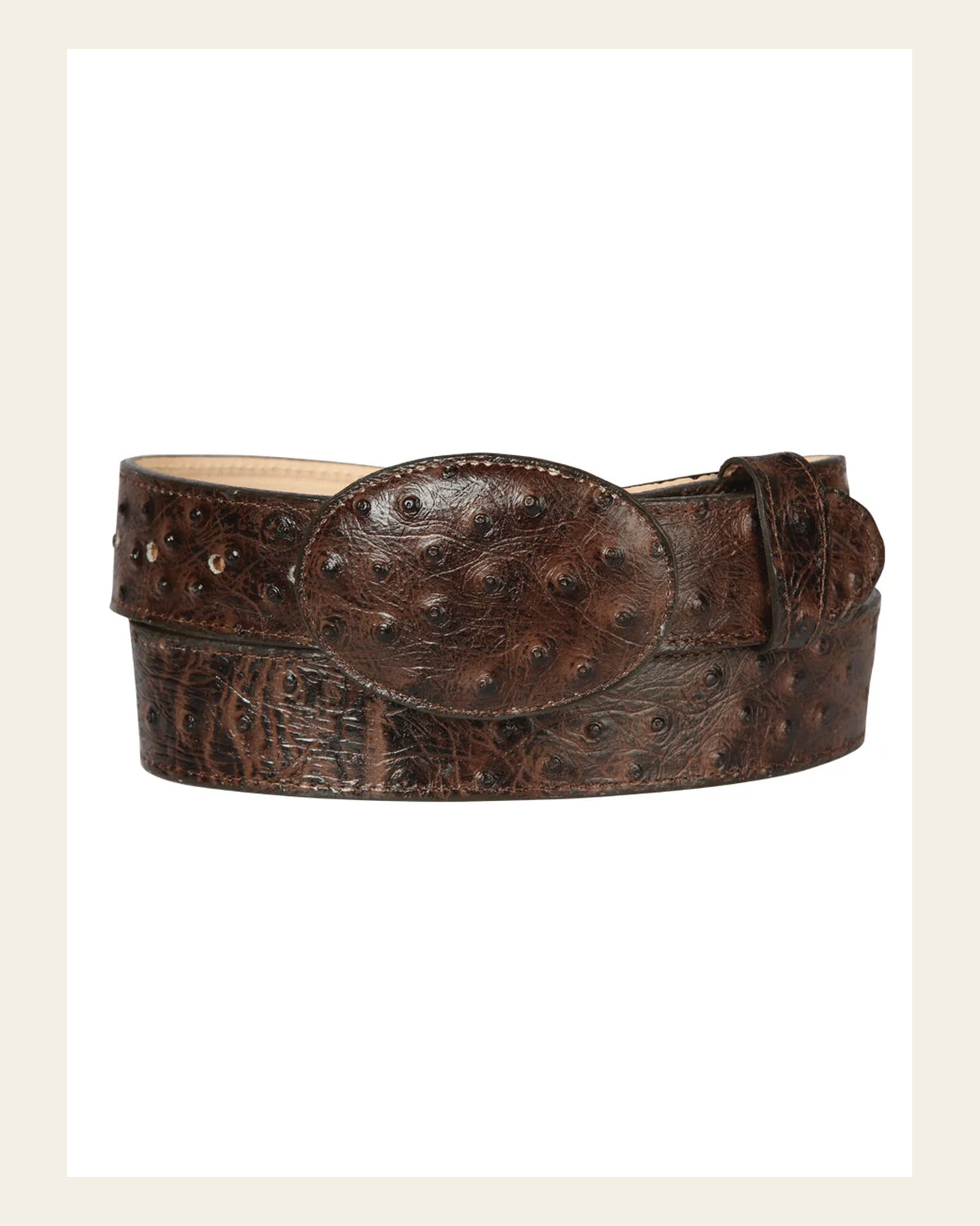 Men's Leather Cowboy Western Belt - Imitation Ostrich Brown Style #45261 on a warm cream background