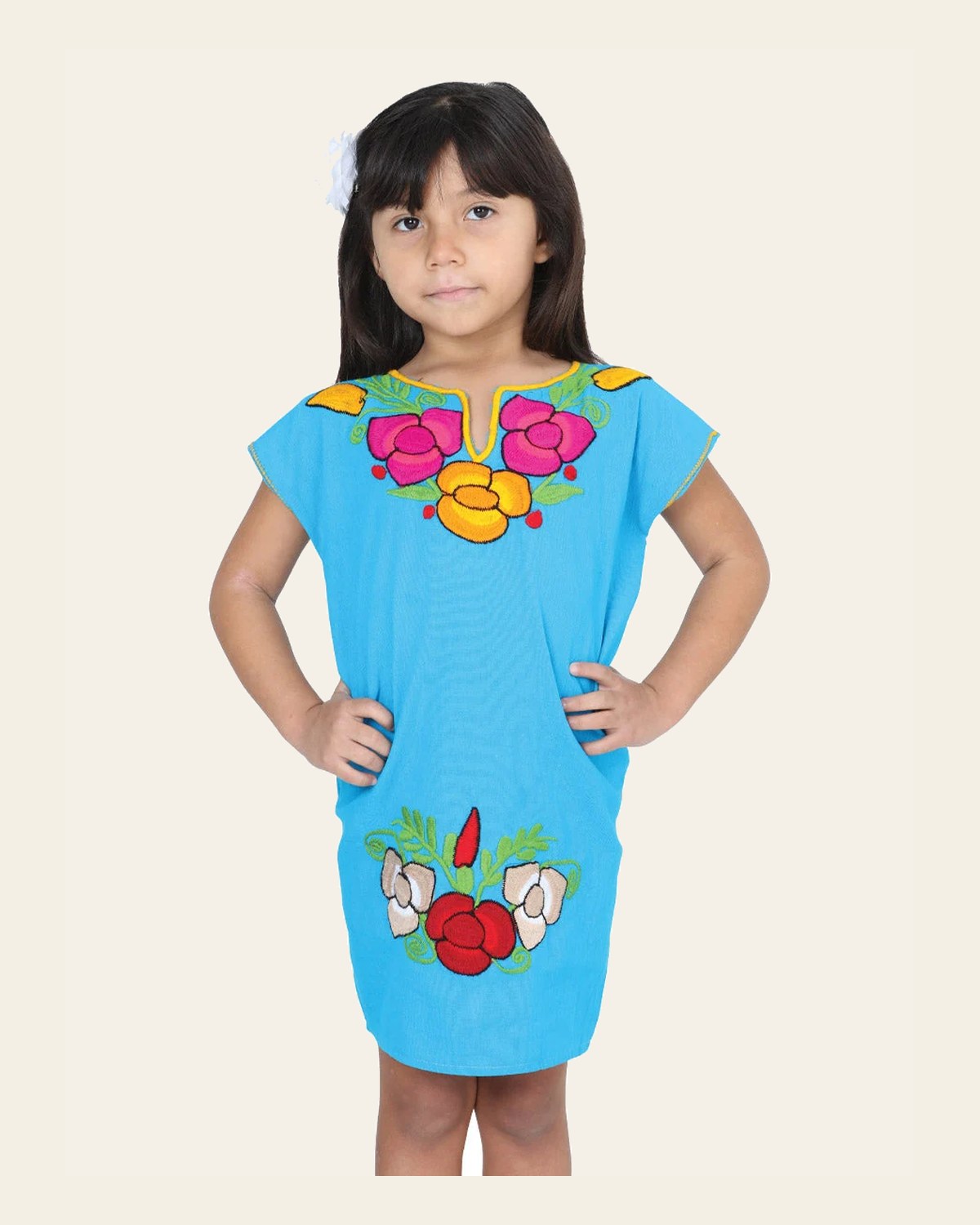 Artisanal Embroidered Dress 50% Cotton, 50% Polyester Blue 601660 on a warm cream background