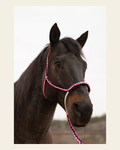 Pink and Black Lariat Noseband Mule Tape Halter on a warm cream background