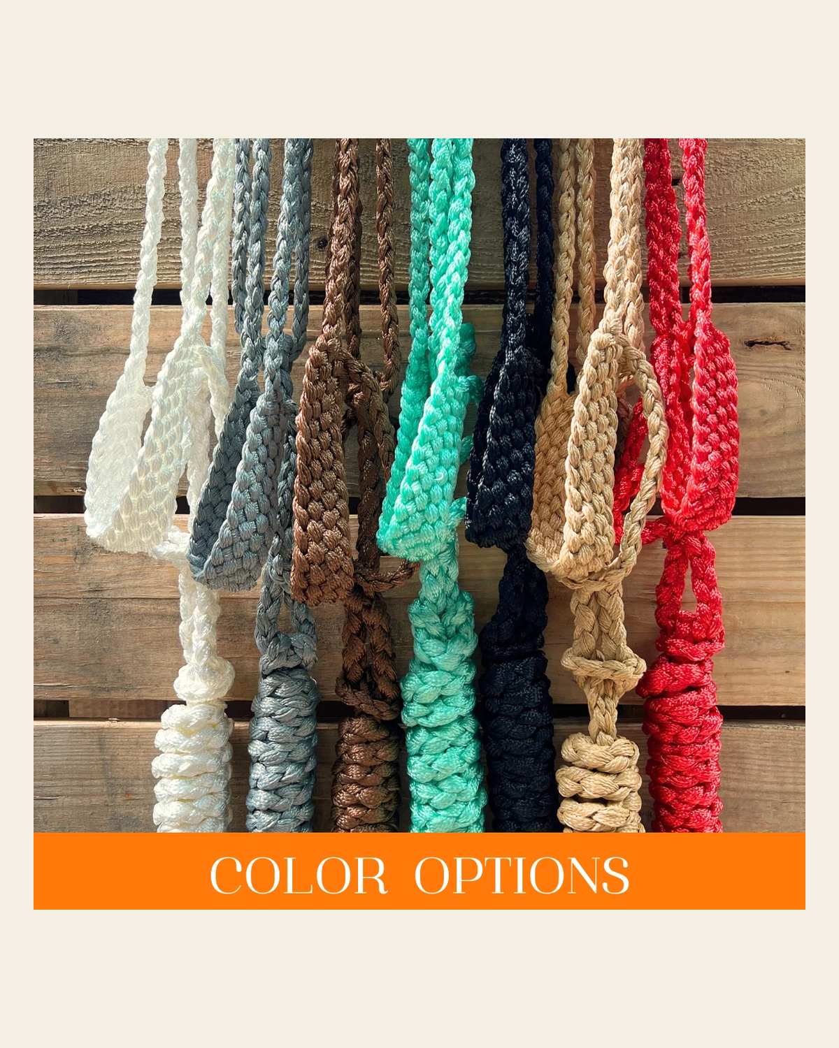 Mule Tape Halters - Assorted Colors- on a warm cream background