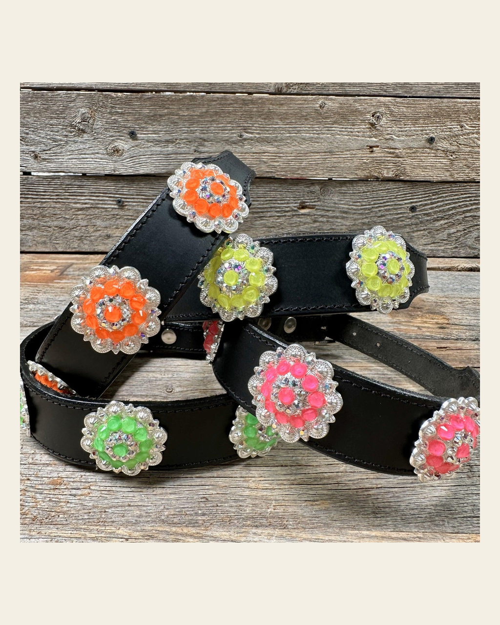 DC18- Neon Concho Dog Collar on a warm cream background
