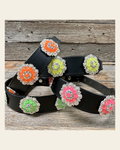 DC18- Neon Concho Dog Collar on a warm cream background