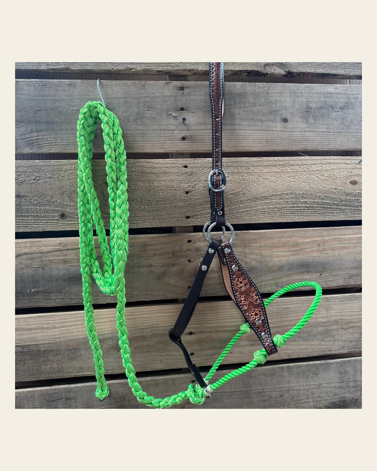 Lime Flower Power Tooled Lariat & Leather Combo Halter on a warm cream background