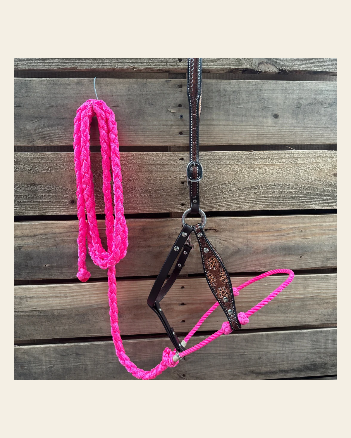 Hot Pink Flower Power Tooled Lariat & Leather Combo Halter on a warm cream background
