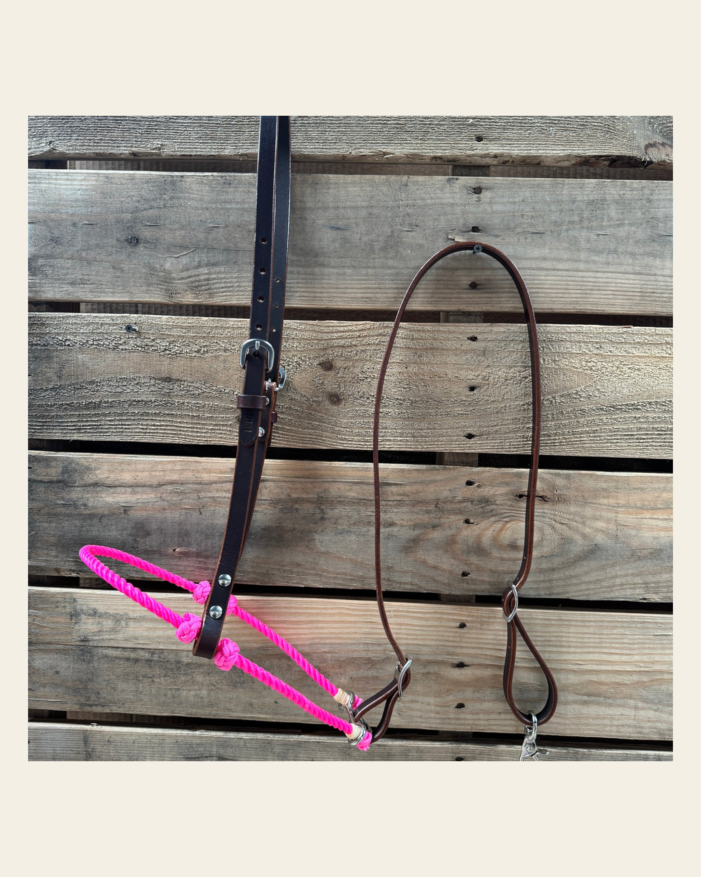 Neon Pink Single Rope Noseband Lariat with Leather Hanger #HAN100 on a warm cream background
