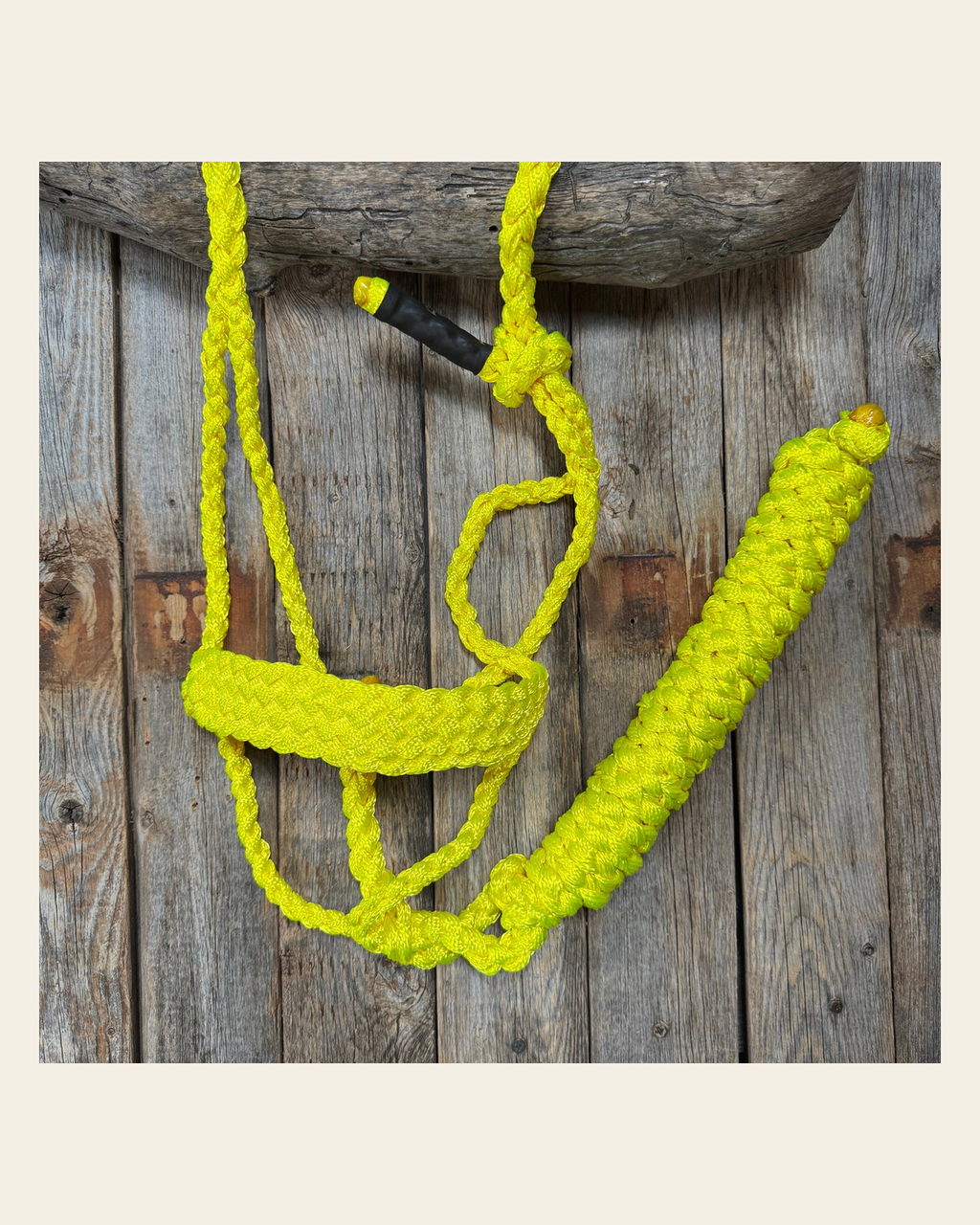 Neon Yellow Mule Tape Halter on a warm cream background