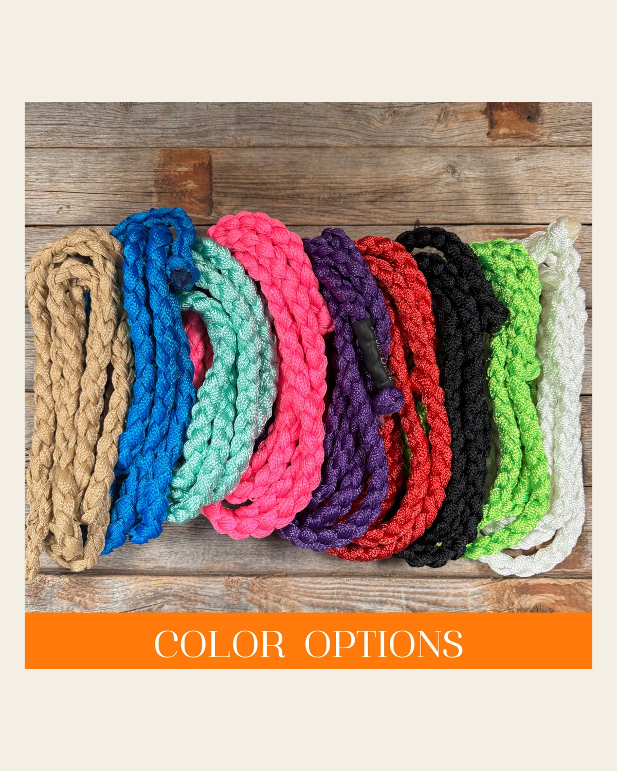 Nylon Lead Ropes for Halters - Assorted Colors on a warm cream background