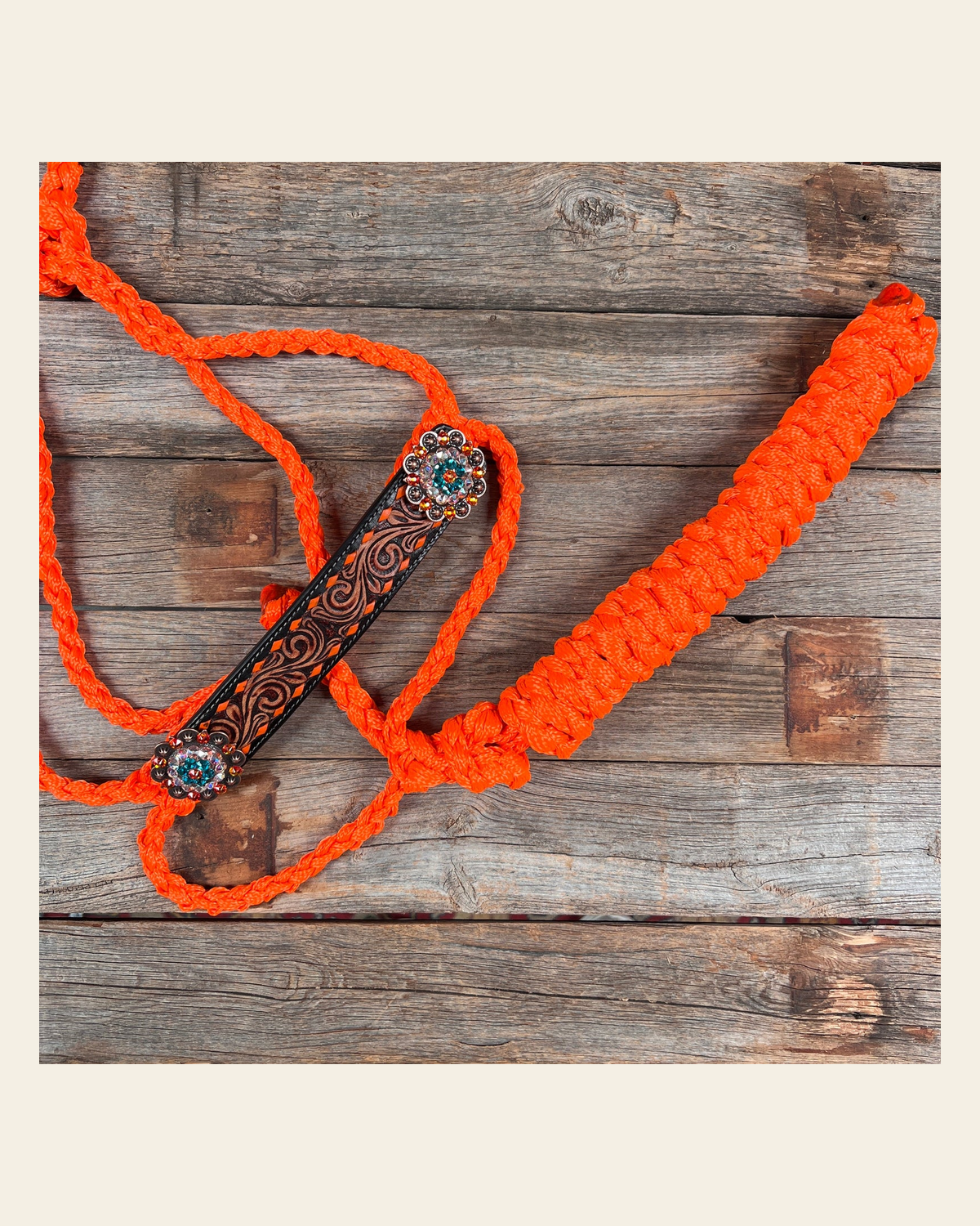 Orange Mule Tape Halter - Fire Opal and Teal #MT205 on a warm cream background