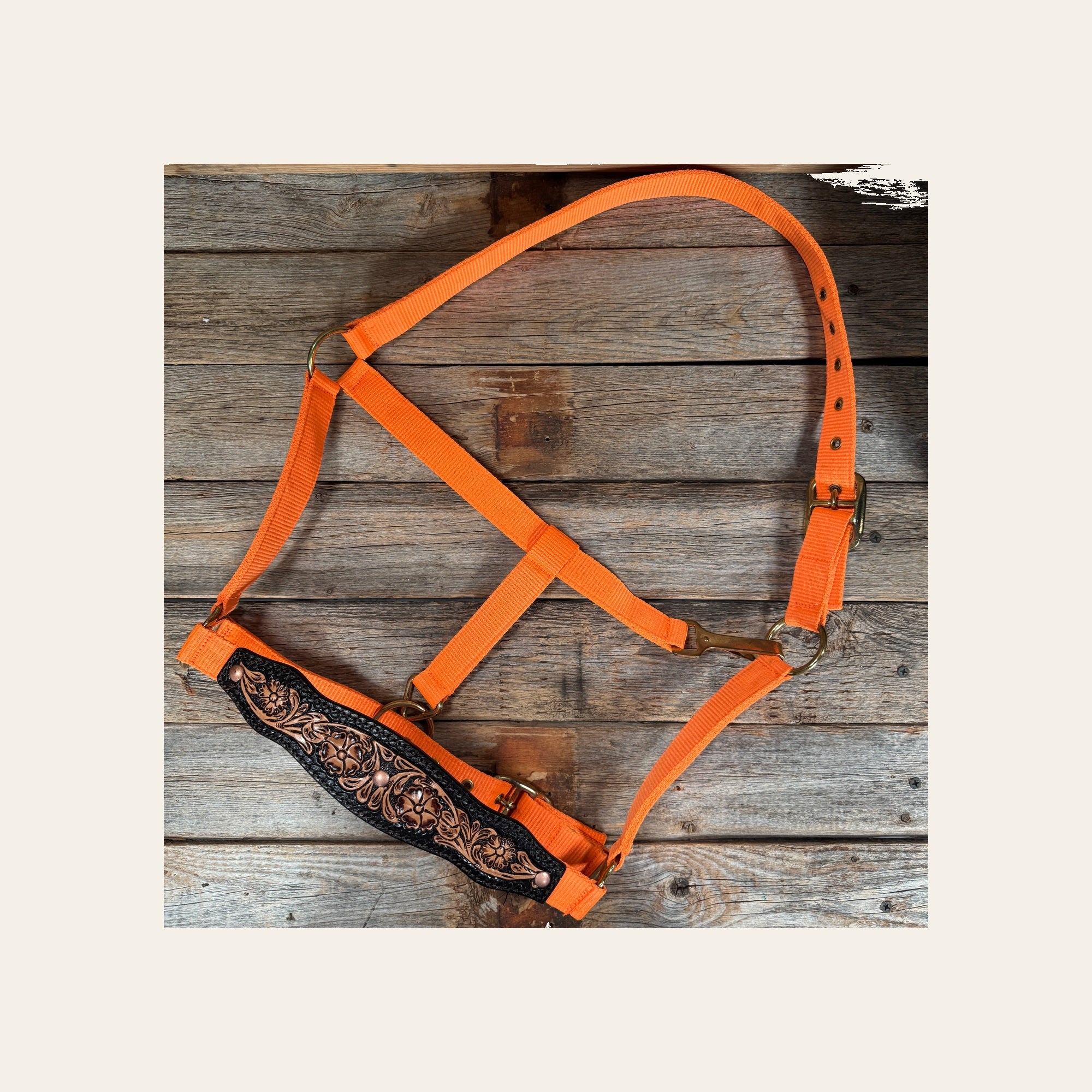 Orange Nylon Halter with Floral Leather Noseband #NH122