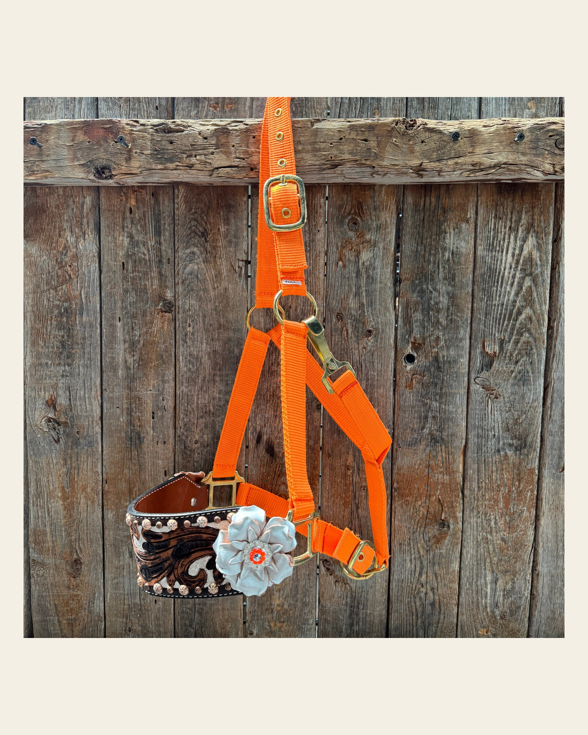 Orange Nylon Horse Halter – Bronc Noseband with Crystal Conchos NH111 on a warm cream background