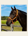 Orange Nylon Horse Halter NHORA on a warm cream background
