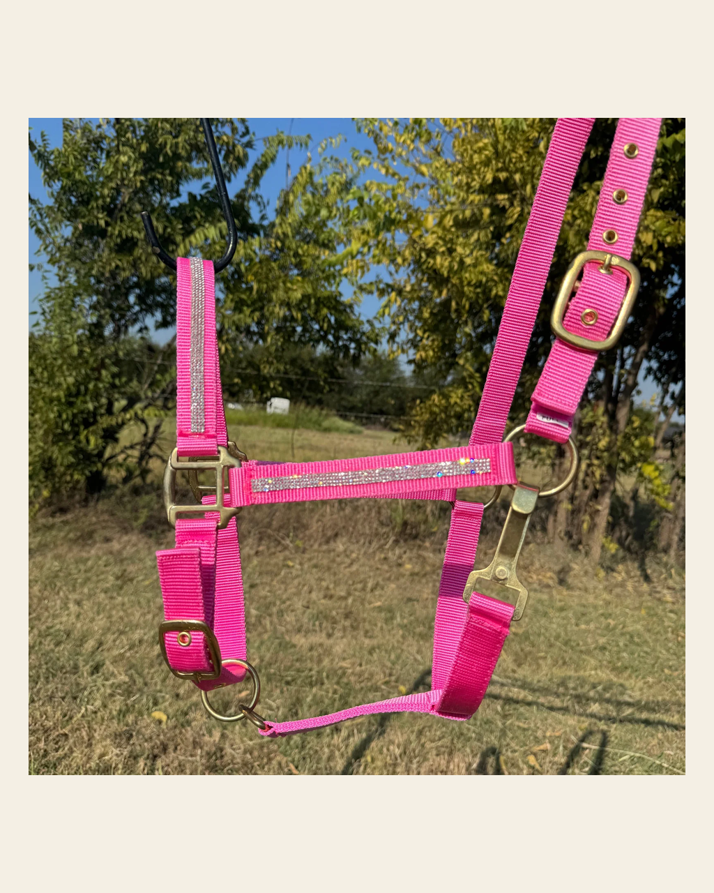 Pink Bling Nylon Horse Halter BNHPINK on a warm cream background