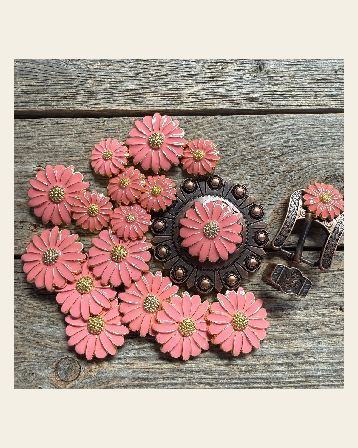 Pink Flower Western Concho W228 on a warm cream background