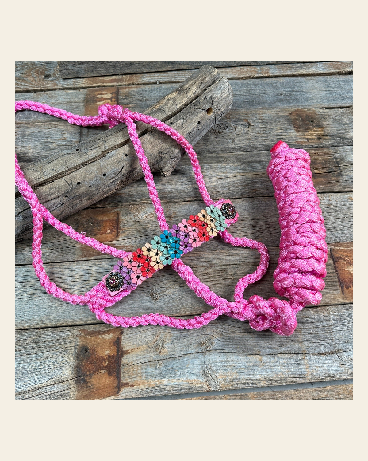 Pink Mule Tape Halter - Multi Floral and Pink #MT228 on a warm cream background
