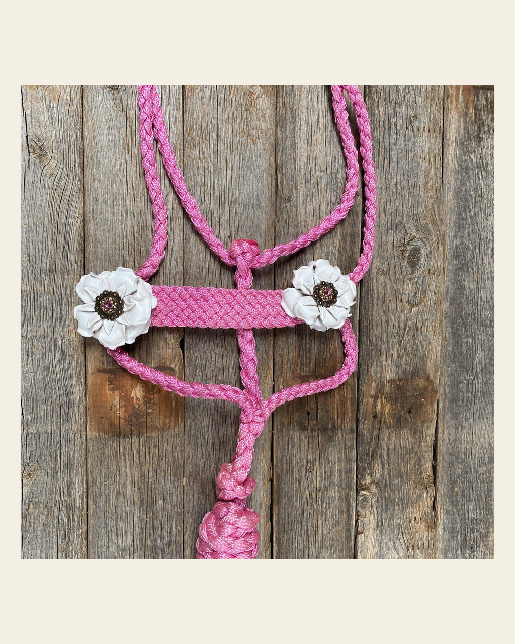 Pink Mule Tape Halter - White Flowers #MT105 on a warm cream background