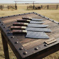Handmade Damascus Kitchen Knife Set of 5 with Full Tang Wood Handles